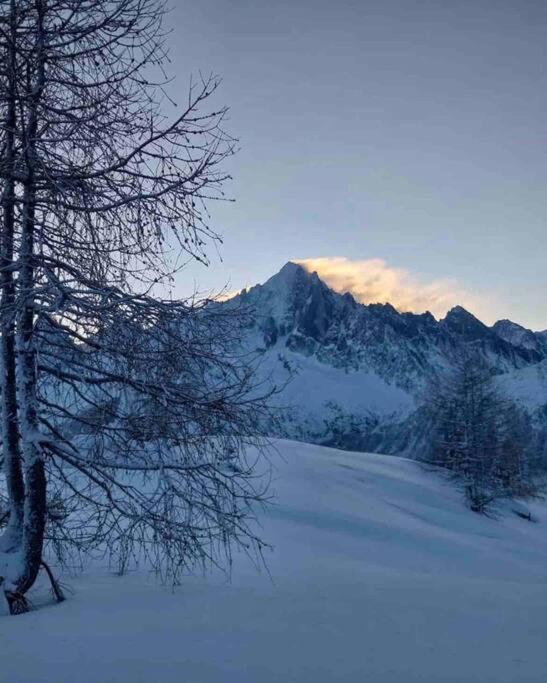 Ski Chamonix, Saint Gervais Et Mont-Blanc Passy  Ngoại thất bức ảnh